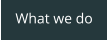 What we do
